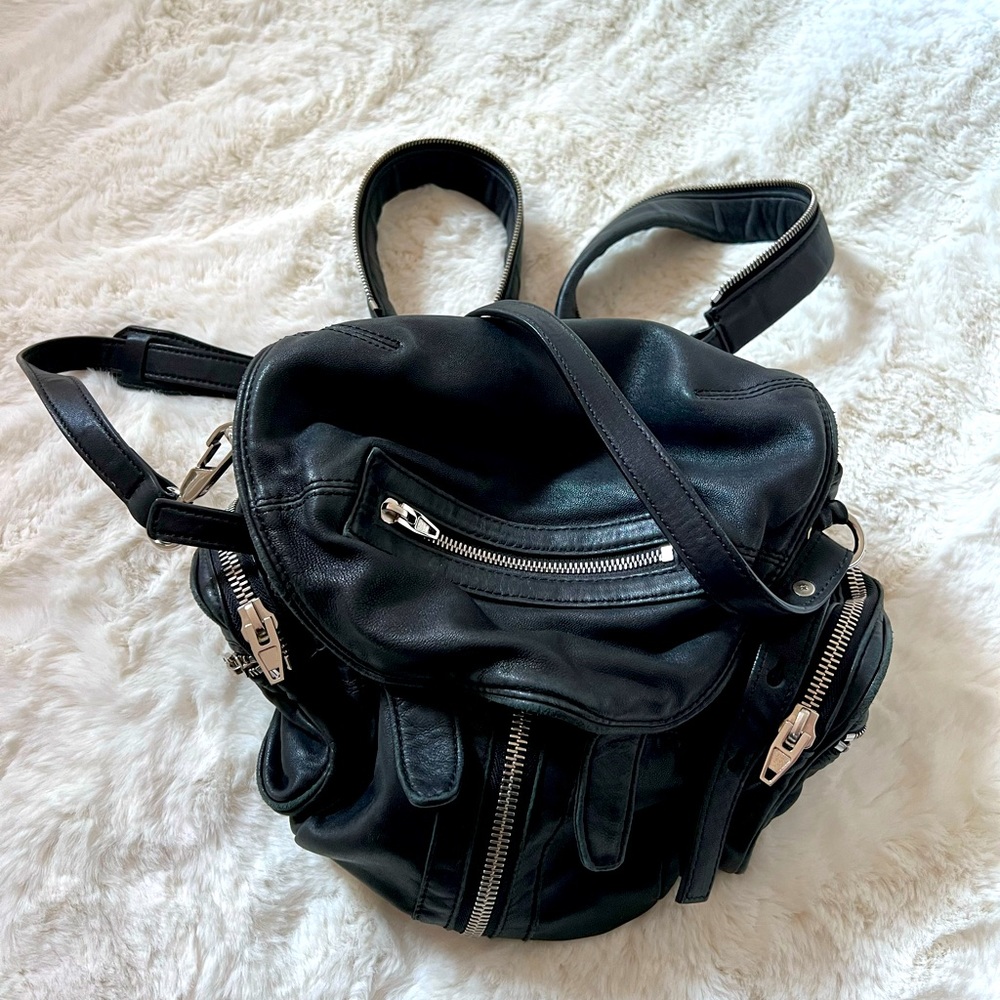 Alexander wang bag